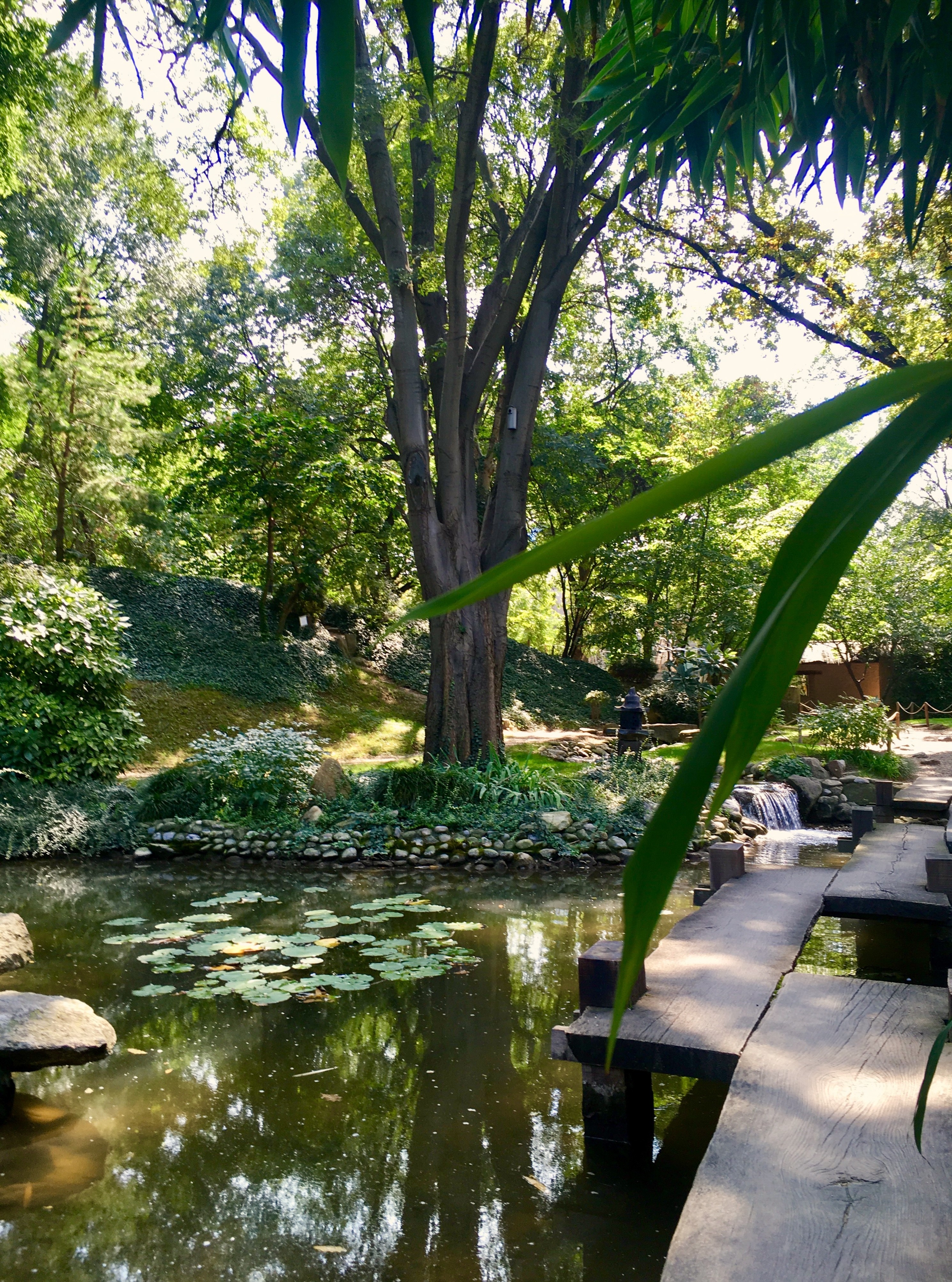 Botanical garden