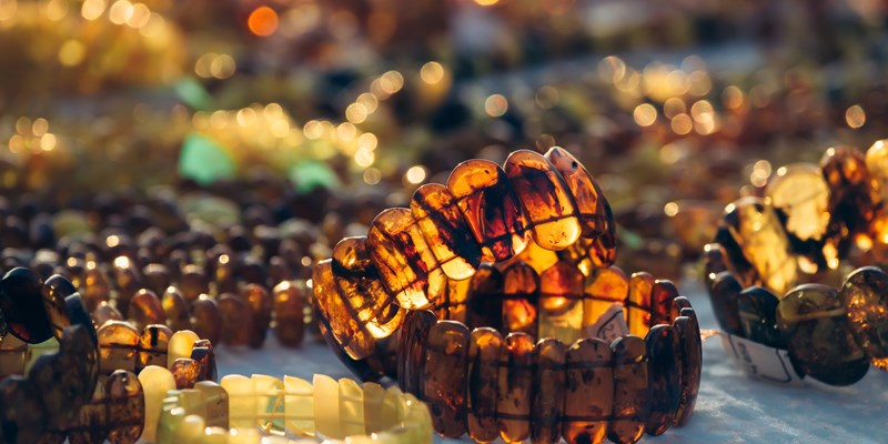 Amber jewels in the sun